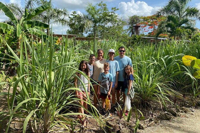 Private Half Day Tour in Dominican Republic With Local Guide - Immersive Local Experiences