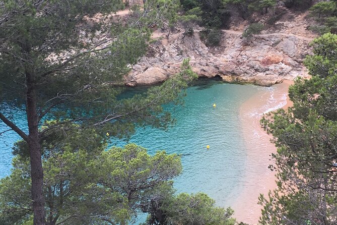 Private Half Day Tour in Monserrat With Driver - Inclusions and Transportation