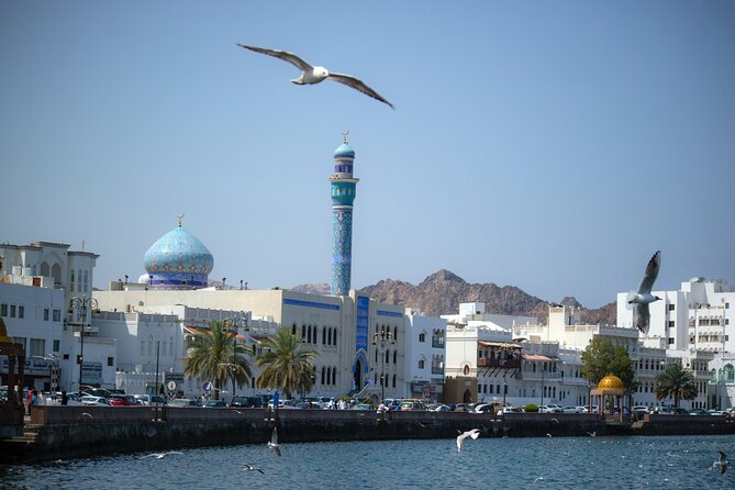 Private Half-day Tour in Muscat - Accessibility Information