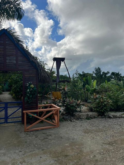 Private Half Day Tour in Punta Cana With Local Guide - Customer Reviews