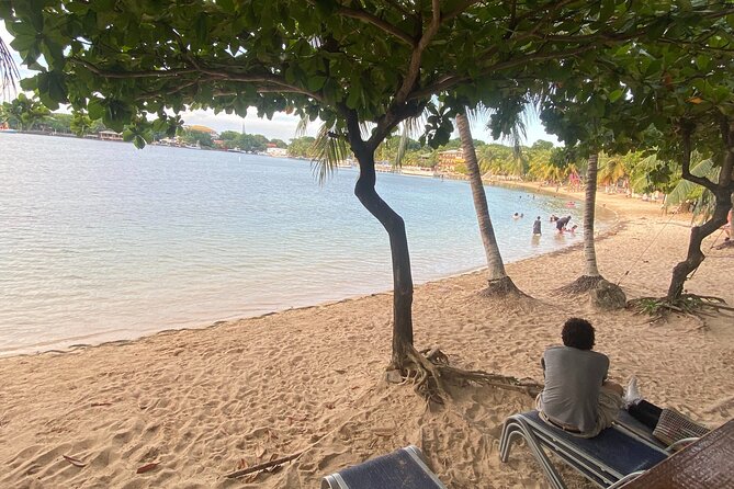 Private Half Day Tour in Roatan Island - Reviews and Ratings