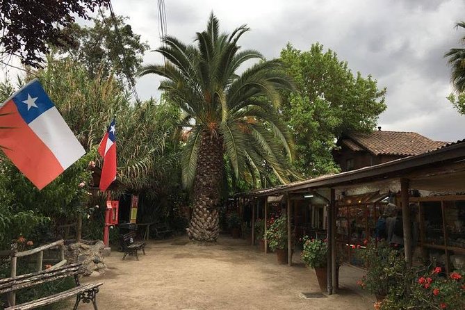 Private Half Day Tour in Santiago - Customer Reviews and Feedback