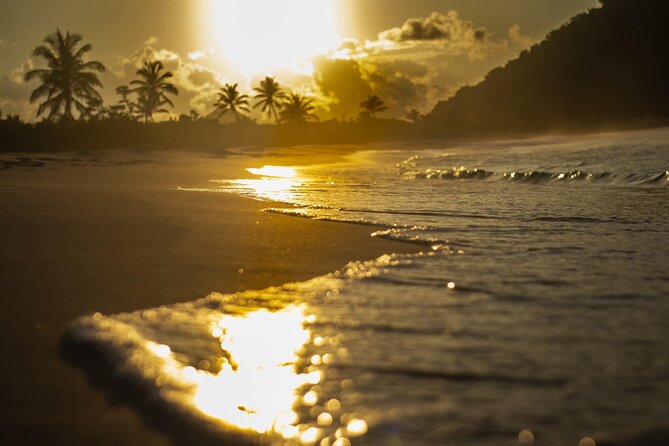Private Half Day Tour in St. Thomas Virgin Islands With Guide - Experiencing Local Culture