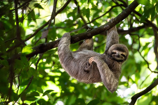 Private Half Day Tour Mombacho Cloud Forest From Granada - Health and Accessibility
