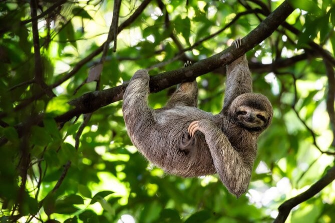 Private Half Day Tour Mombacho Cloud Forest From Granada - Highlights of the Tour