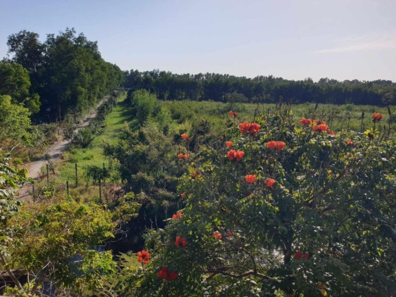 Private Half Day Tour - Nature, Wildlife & Forest in Can Tho - Inclusions