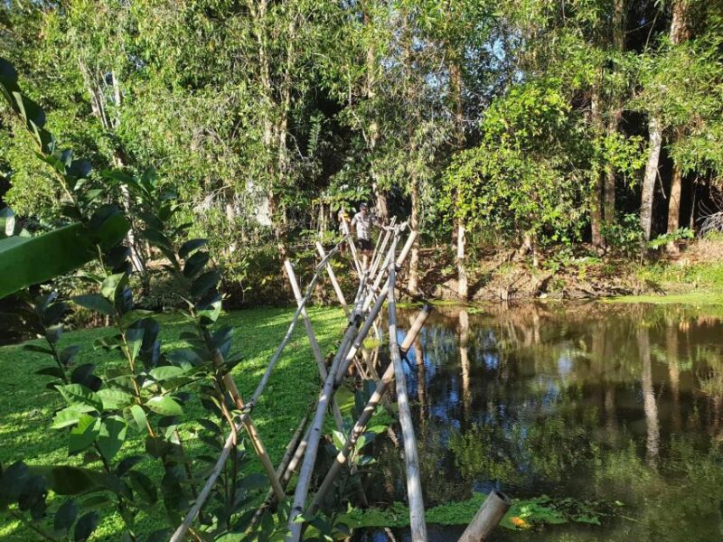 Private Half Day Tour - Nature, Wildlife & Forest in Can Tho - Additional Information