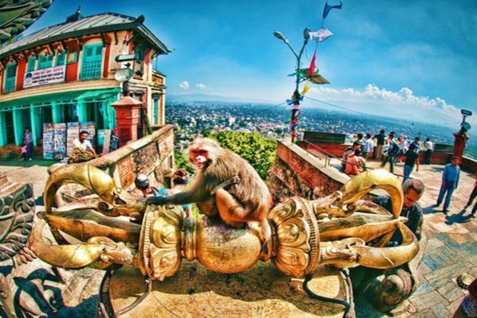 Private Half-Day Tour of Kathmandu Durbar Square and Swayambhunath Temple - Positive Traveler Feedback and Ratings