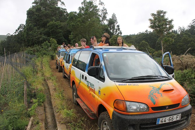 Private, Half-Day Tour of Madiera in an Open Top Safari Jeep - Tour Overview