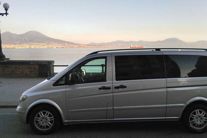 Private Half-Day Tour of Mt. Vesuvius - Transportation to Mt. Vesuvius