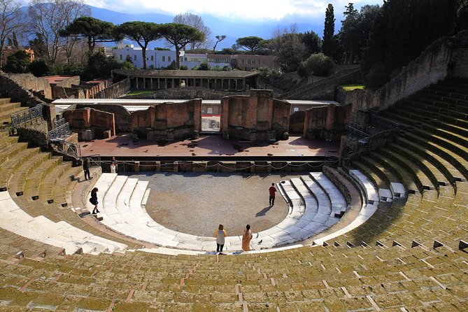 Private Half-Day Tour of The Pompeii Ruins Highlights and Mann - The Stabian Baths