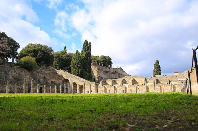 Private Half-Day Tour of The Pompeii Ruins Highlights and Mann - Additional Notable Locations