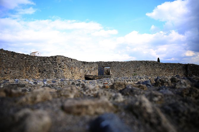 Private Half-Day Tour of The Pompeii Ruins Highlights and Mann - Highly Rated Customer Reviews