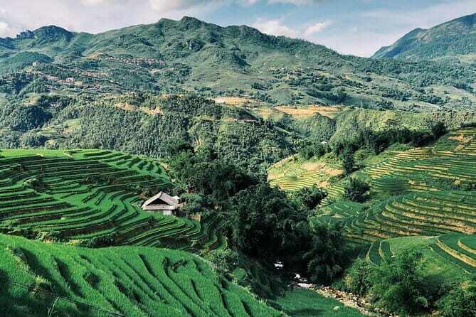 Private Half-Day Tour of Villages, Terrace Rice Fields by Car - Introducing the Private Half-Day Tour of Villages and Terrace Rice Fields in Sapa
