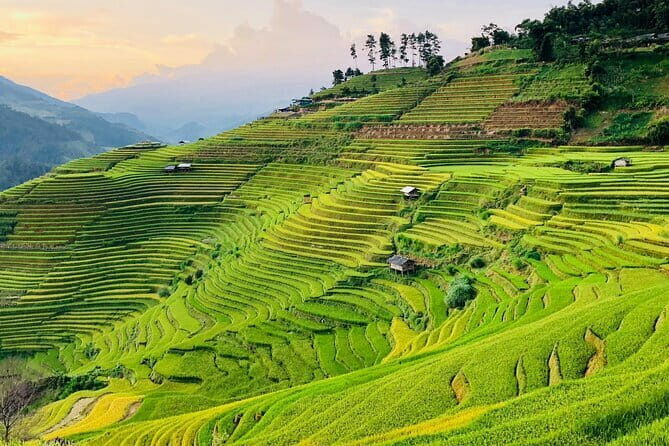 Private Half-Day Tour of Villages, Terrace Rice Fields by Car - Key Points