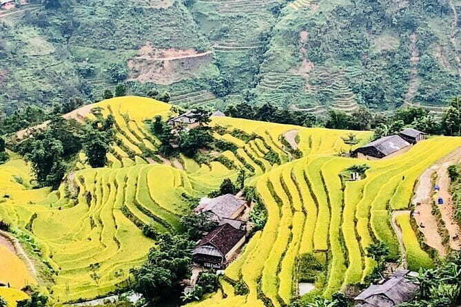 Private Half-Day Tour of Villages, Terrace Rice Fields by Car - What’s Included and What to Keep in Mind