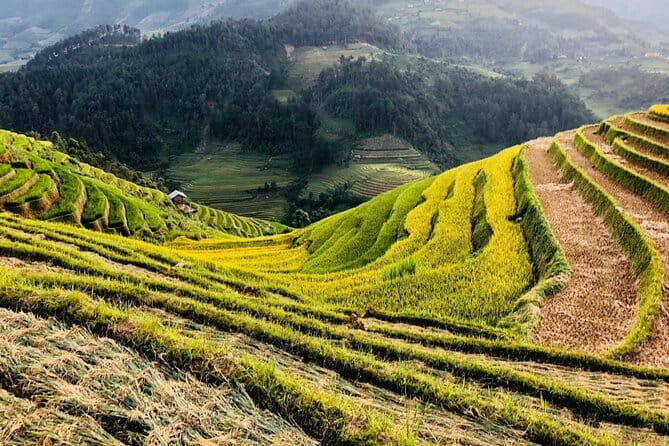 Private Half-Day Tour of Villages, Terrace Rice Fields by Car - Who Will Love This Tour?