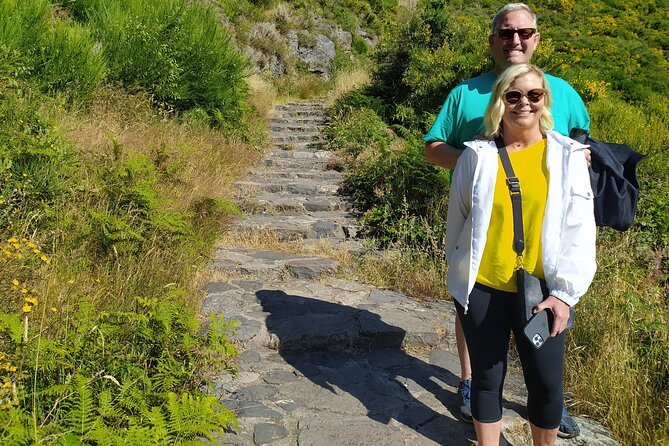 Private Half-Day Tour of Wine Fields in Portugal  - Pickup and Meeting Logistics