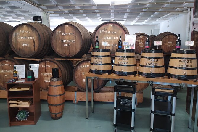Private Half-Day Tour of Wine Fields in Portugal  - Recommended Attire and Accessories