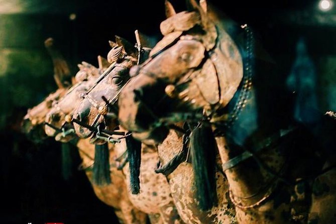 Private Half-Day Tour of Xian Terracotta Warriors - Tour Logistics and Private Experience