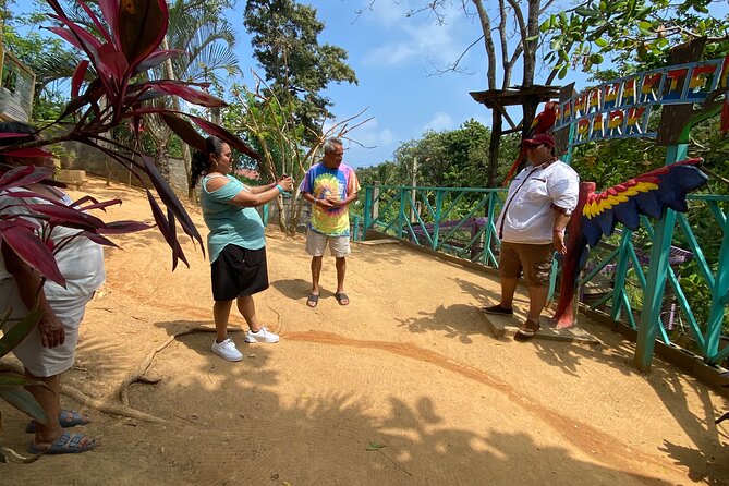 Private Half Day Tour on the Island of Roatan - Customer Feedback