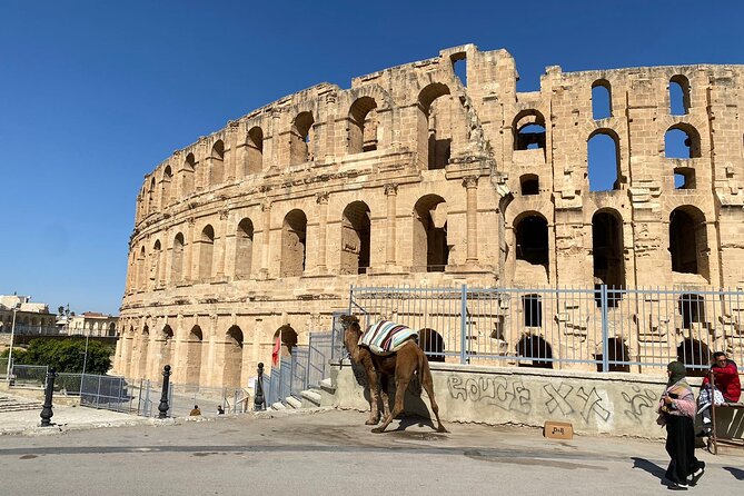 Private Half Day Tour Roman Coliseum EL JEM - Cancellation Policy