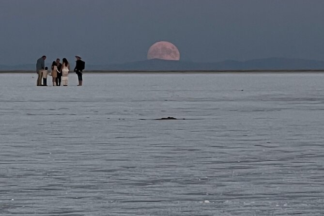 Private Half-Day Tour to Bonneville Salt Flats - Knowledgeable Guide