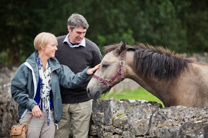 Private Half Day Tour To Connemara - Inclusions and Accessibility