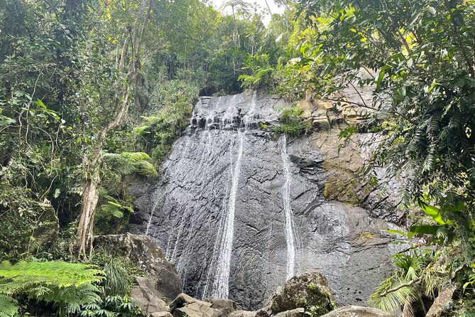 Private Half-Day Tour to El Yunque Rainforest - Tour Highlights