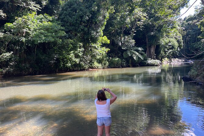 Private Half-Day Tour to El Yunque Rainforest - Traveler Experiences