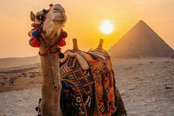 Private Half-Day Tour to Giza Pyramids by Camel - Camel Riding Experience
