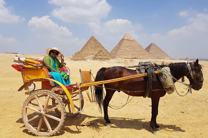 Private Half Day Tour to Giza Pyramids & Great Sphinx From Cairo - Booking and Availability
