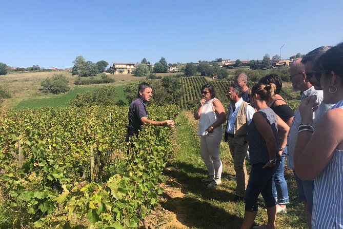 Private Half-Day Tour to Golden Stone Beaujolais With Tastings - Transportation and Logistics