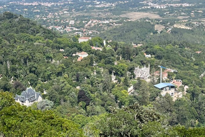 Private Half-Day Tour to Sintra - Reviews