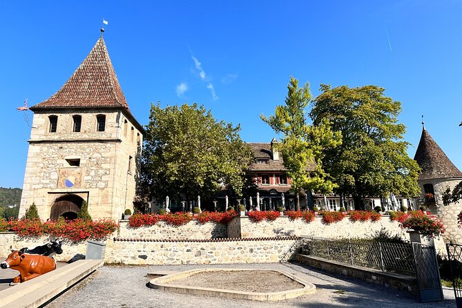 Private Half-Day Tour to the Rhine Falls With Pick-Up at Hotel - Tour Experience and Guide