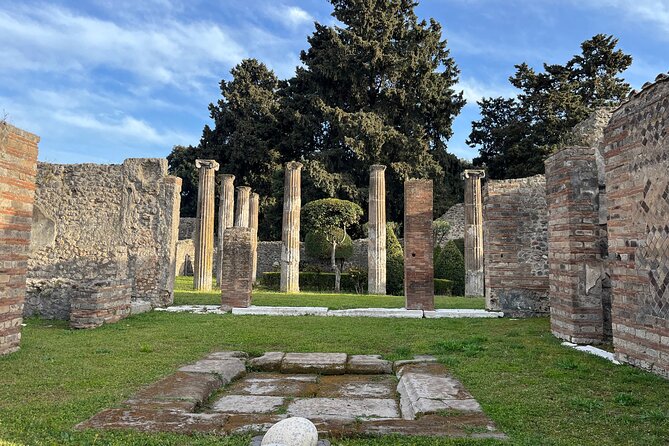 Private Half Day Tour to the Ruins of Pompeii - Inclusions