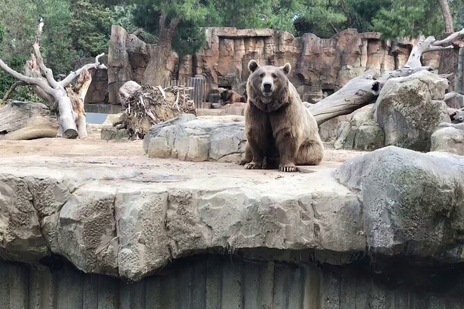 Private Half Day Tour To The Zoo In Giza - Visitor Information