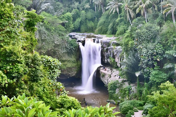 Private Half Day-Tour: Ubud Art Village Trip - Tour Inclusions