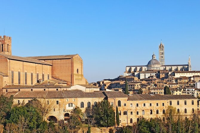 Private Half Day Tour: Visit Siena & Chianti Classic Tour With Wine Experience - Chianti Wine Tasting Experience