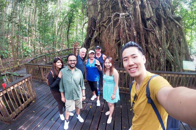 Private Half Day Tour: World Heritage Rainforest & Waterfall - Key Points
