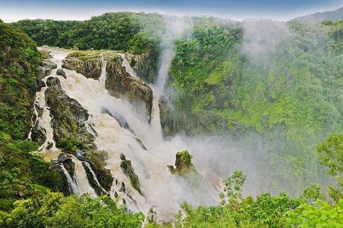 Private Half Day Tour: World Heritage Rainforest & Waterfall - Exploring Barron Gorge
