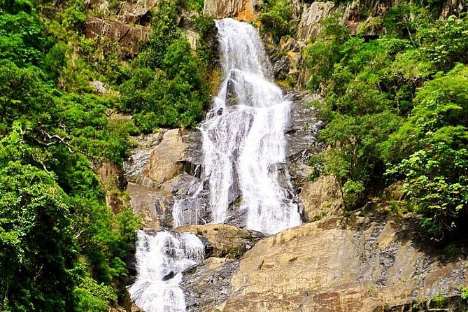 Private Half Day Tour: World Heritage Rainforest & Waterfall - Off-Road Adventure