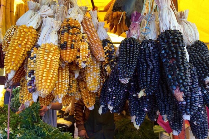 Private Half-Day Traditional Markets Street Food Tour in Mexico City - Frequently Asked Questions