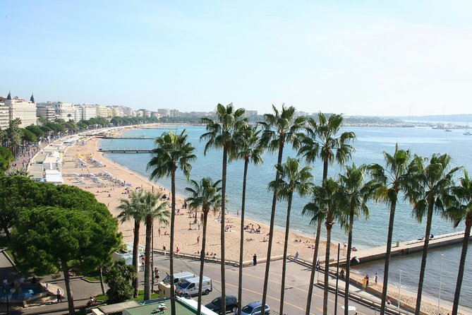 Private Half-Day Trip: Cannes and Antibes From Nice by Minivan - Inclusions and Exclusions