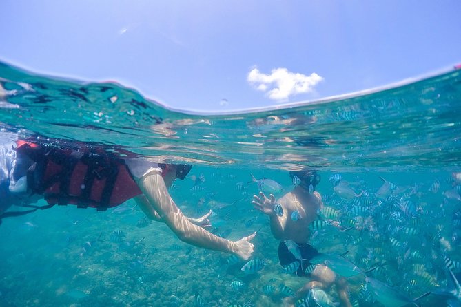 Private Half Day Trip to Pig Island and Koh Tan by Long Tail Boat - Traveler Reviews