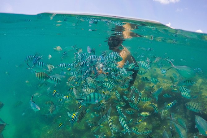 Private Half Day Trip to Pig Island and Koh Tan by Long Tail Boat - Included in the Tour