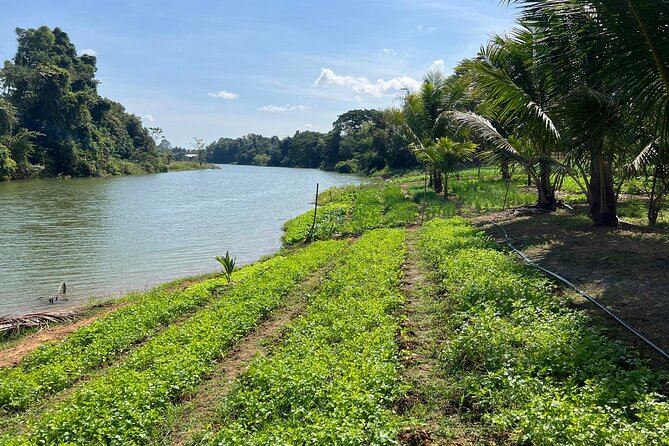 Private Half-Day Tuk Tuk Tour in Battambang - Meeting and Pickup Details