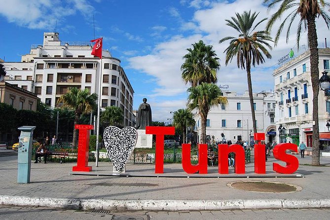 Private Half Day Tunis City Tour - Exploring the Medina