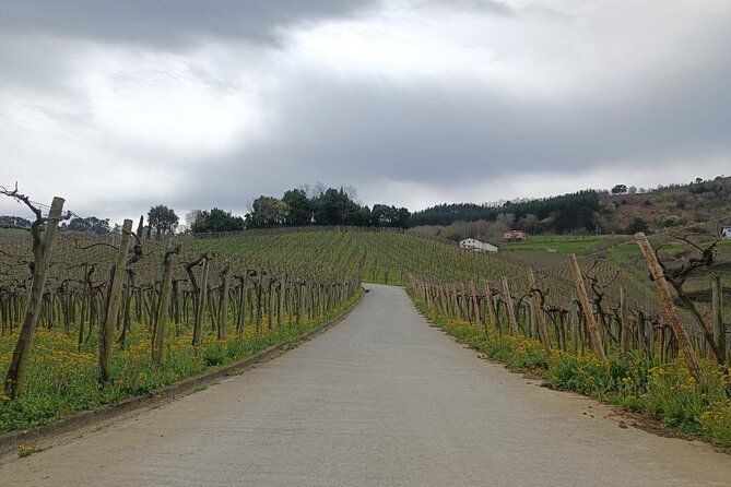 Private Half Day Txakoli Wine Tour & Getaria Fishing Village - Cancellation and Booking