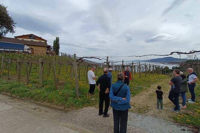 Private Half Day Txakoli Wine Tour & Getaria Fishing Village - Recommendations for Dining and Nightlife